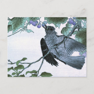 Japanese Woodblock Print of a Bird eating Grapes Postcard