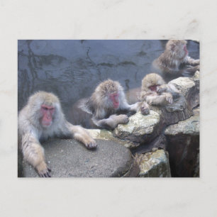 Japanese Zaru Post Card