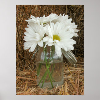 Jar Of Daisies & Hay Poster