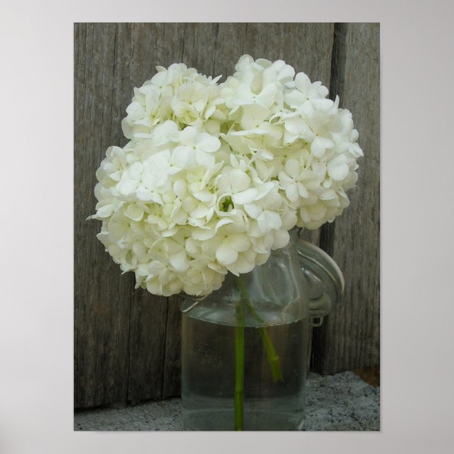 Jar Of Hydrangeas & Barn Wood Poster (Front)