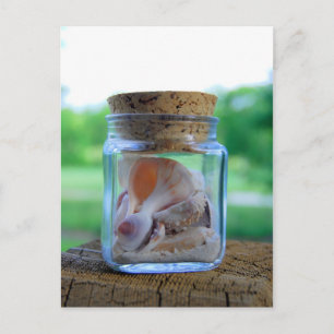 Jar of Sea Shells Postcard