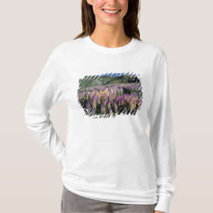 JARBIDGE WILDERNESS, NEVADA. USA. Spur lupine T-Shirt