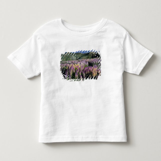 JARBIDGE WILDERNESS, NEVADA. USA. Spur lupine Toddler T-Shirt (Front)