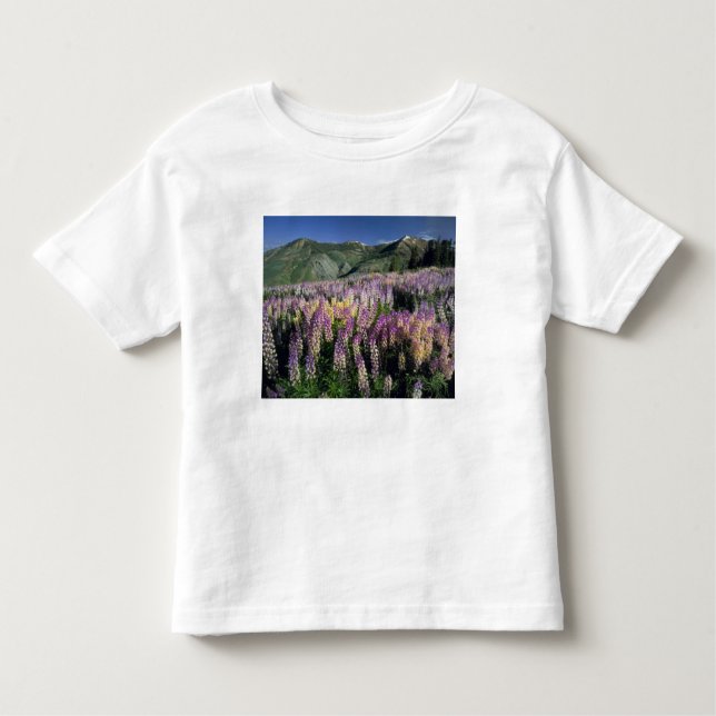 JARBIDGE WILDERNESS, NEVADA. USA. Spur lupine Toddler T-Shirt (Front)