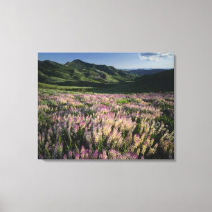 Jarbridge Wilderness and Mountains, Nevada, Spur Canvas Print