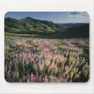 Jarbridge Wilderness and Mountains, Nevada, Spur Mouse Pad