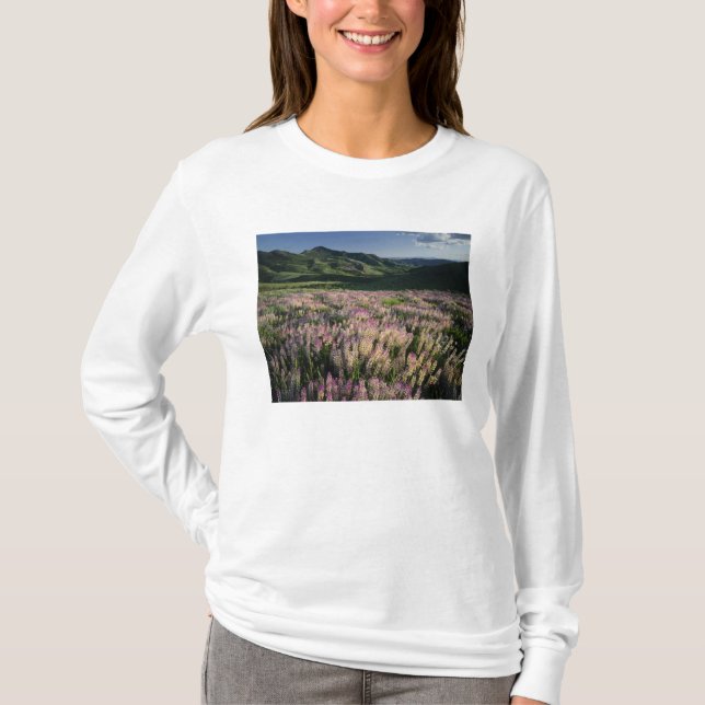 Jarbridge Wilderness and Mountains, Nevada, Spur T-Shirt (Front)