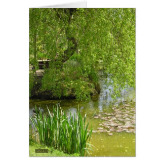 Jardin de Martel, France