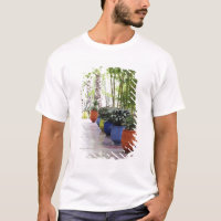 Jardin Majorelle, Majorelle Garden, now a public