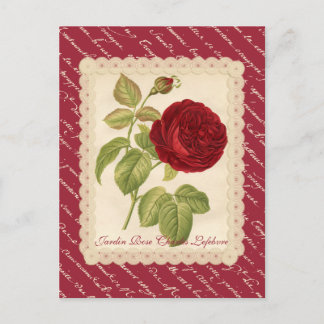 Jardin Rose Charles Lefebvre Postcard
