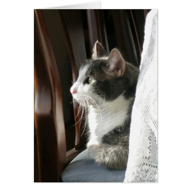 "Jasmine" (2) (Front)