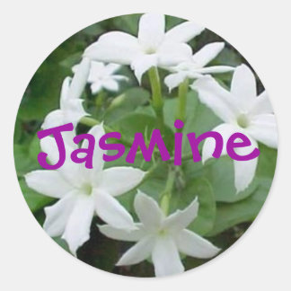 Jasmine Classic Round Sticker