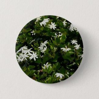 Jasmine Flowers Tropical Floral Botanical 6 Cm Round Badge
