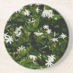 Jasmine Flowers Tropical Floral Botanical Coaster