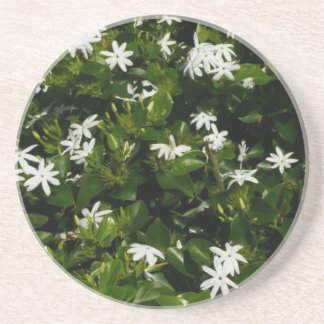 Jasmine Flowers Tropical Floral Botanical Coaster