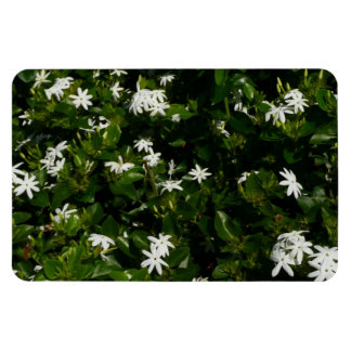 Jasmine Flowers Tropical Floral Botanical Magnet