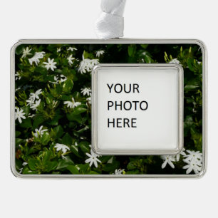 Jasmine Flowers Tropical Floral Botanical Silver Plated Framed Ornament