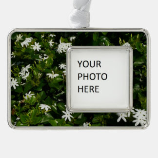 Jasmine Flowers Tropical Floral Botanical Silver Plated Framed Ornament