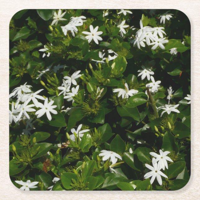 Jasmine Flowers Tropical Floral Botanical Square Paper Coaster (Front)