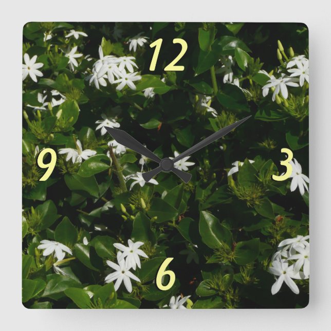 Jasmine Flowers Tropical Floral Botanical Square Wall Clock (Front)