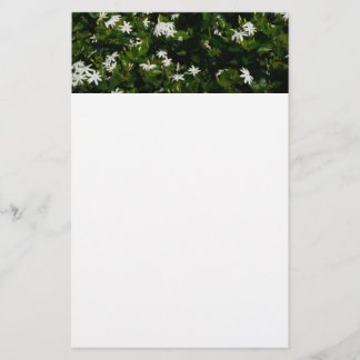Jasmine Flowers Tropical Floral Botanical Stationery