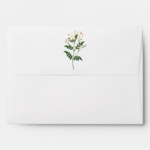 jasmine(Jasminum grandiflorum) by Redouté Envelope