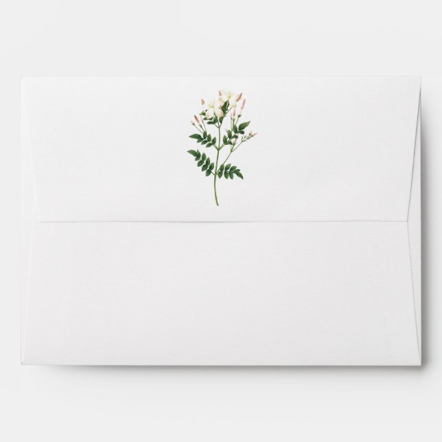jasmine(Jasminum grandiflorum) by Redouté Envelope (Back (Top Flap))