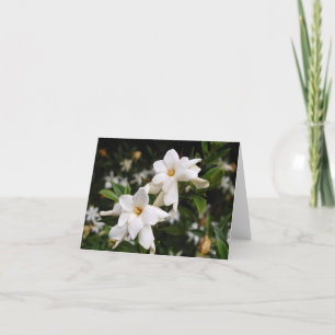 Jasmine Note Card