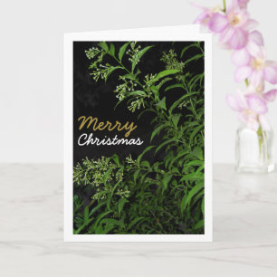 Jasmine Plant at Night Portrait Card
