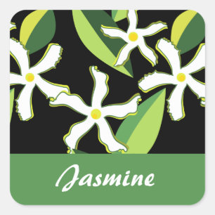 Jasmine Retro Floral Abstract Pattern Square Sticker