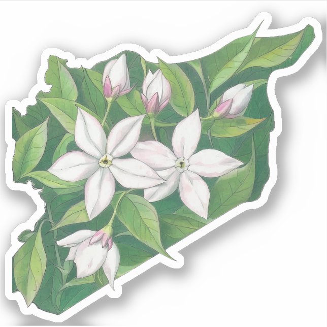 Jasmine Syria Map خريطة سوريا ياسمين  (Front)
