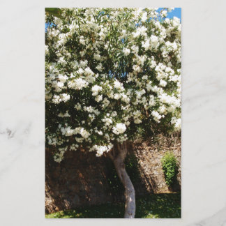 Jasmine Tree In Bloom Stationery