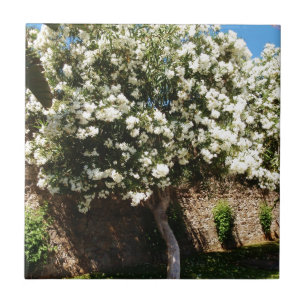 Jasmine Tree Tile