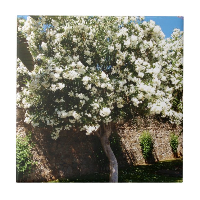 Jasmine Tree Tile (Front)