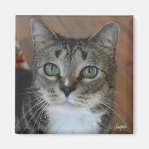 Jasper Magnet