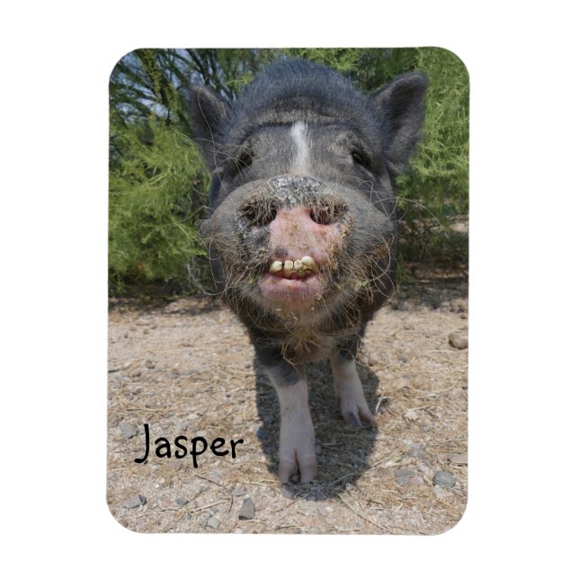 Jasper Magnet  (Vertical)