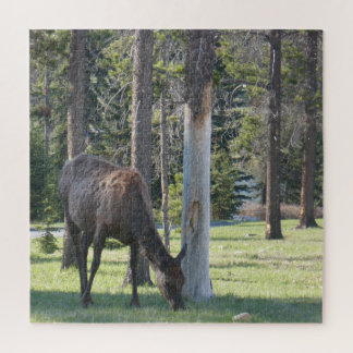 Jasper National Park, Alberta Canada Puzzle