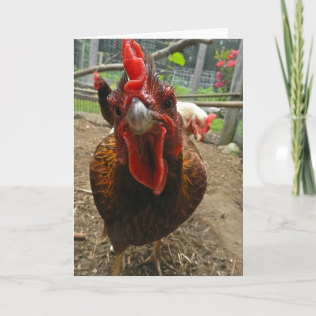 Jasper the Welsummer Hen Note Card (Front)