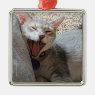 Jasper Yawning Kitten Photo Square Metal Ornament