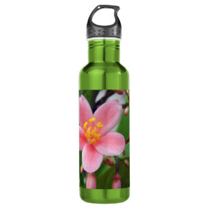 Jatropha Flower and flower buds 710 Ml Water Bottle