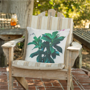 Jatropha Plant in Natural Green Cushion