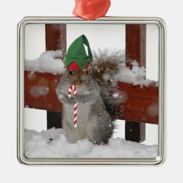 Jaunty Squirrel with Candy Cane Holiday Ornament (Front)