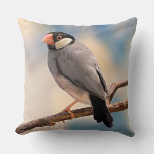 Java Finch Pillow