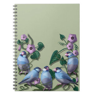 Java sparrows notebook