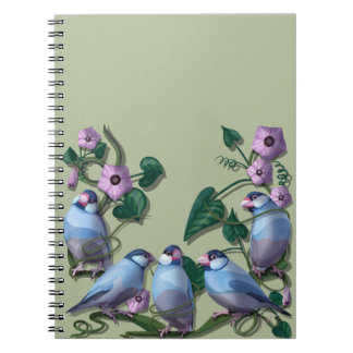 Java sparrows  notebook