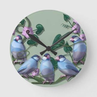 Java sparrows  round clock