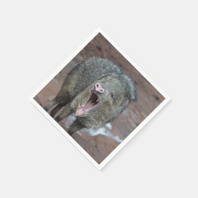 Javalina With his Mouth Wide Open Napkin (Corner)