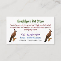 Javan hawk eagle bird cartoon illustration