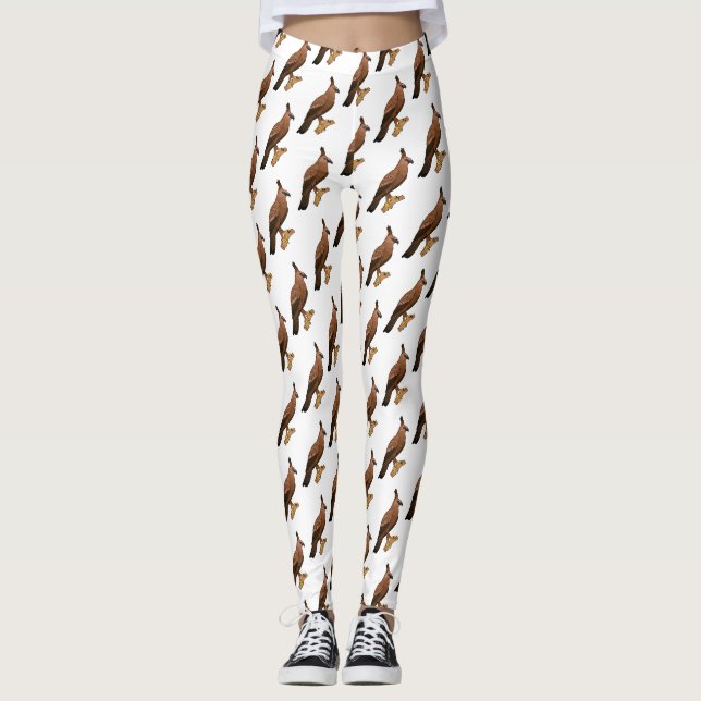 Javan hawk eagle bird cartoon illustration  leggings (Front)