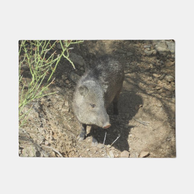 Javelina Doormat (Front)